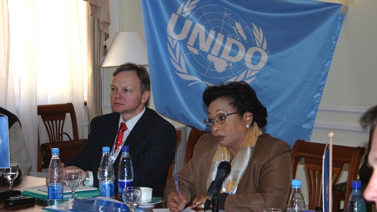 Workshop session at a table under the UNIDO flag